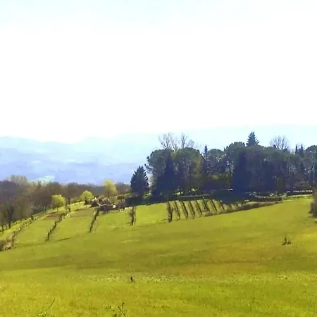 Semesterbostad Tuscan Hills - Stonehouse, Garden & Pool Vicchio