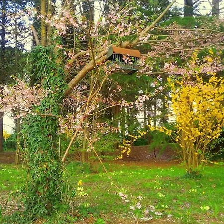 Semesterbostad Tuscan Hills - Stonehouse, Garden & Pool