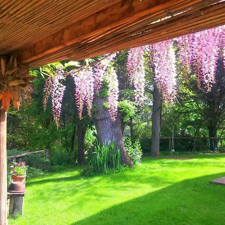 Tuscan Hills - Stonehouse, Garden & Pool Holiday home *