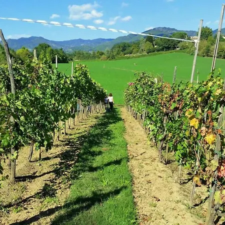Tuscan Hills - Stonehouse, Garden & Pool Semesterbostad Vicchio