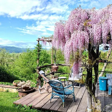 Semesterbostad Tuscan Hills - Stonehouse, Garden & Pool *