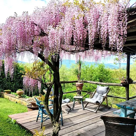 Holiday home Tuscan Hills - Stonehouse, Garden & Pool *